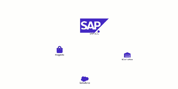 FusionGraph Visual Digital Transformation for SAP S/4 HANA